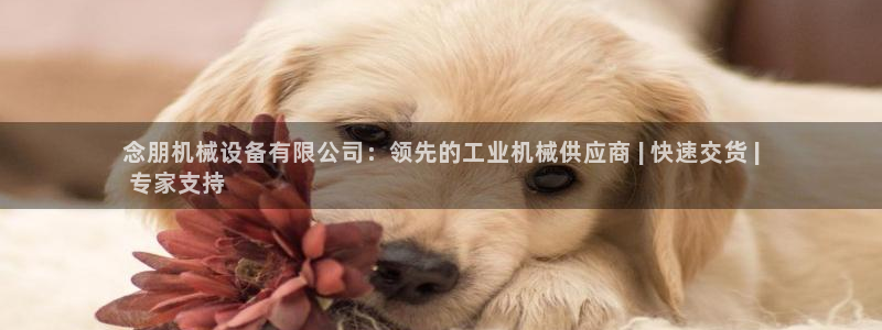 金年会体育竞彩app