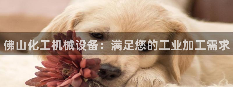 金年会今年会官方在线登录