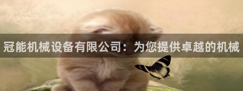 金年会APP官方网站