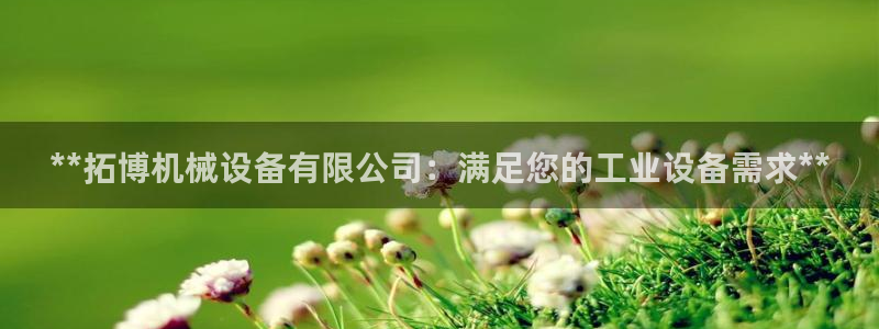 金年会官方入口app