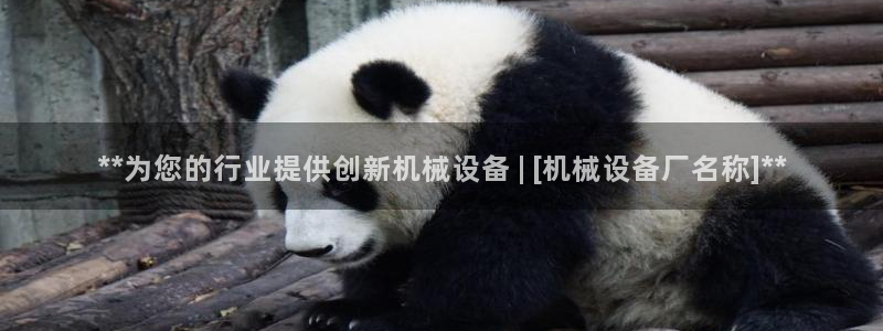 金年会网赌靠普吗：**为您的行业提供创新机械设备 | [机械设备厂名称]**