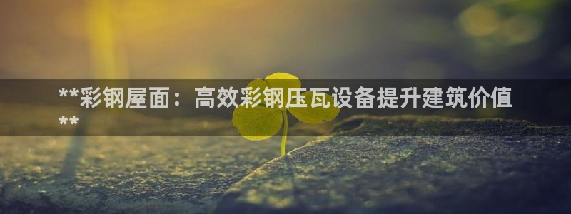 金年会官方：**彩钢屋面：高效彩钢压瓦设备提升建筑价值
**