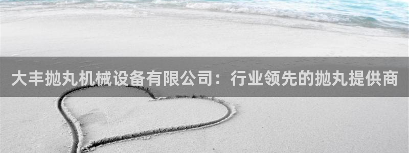 金年会官方网站登录：大丰抛丸机械设备有限公司：行业领先的抛丸提供商