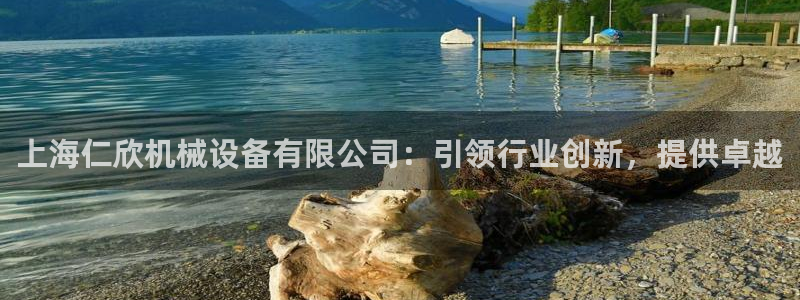 金年会手机网页版：上海仁欣机械设备有限公司：引领行业创新，提供卓越