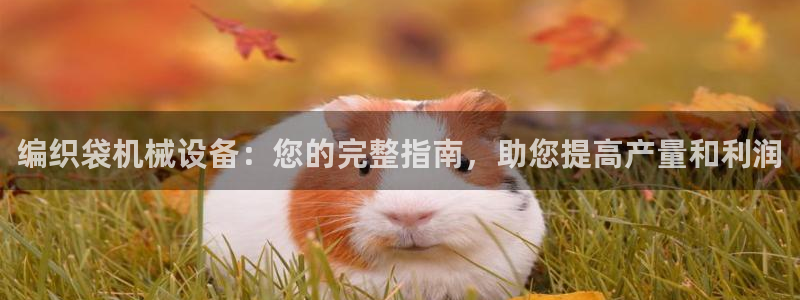 金年会体育怎么样：编织袋机械设备：您的完整指南，助您提高产量和利润