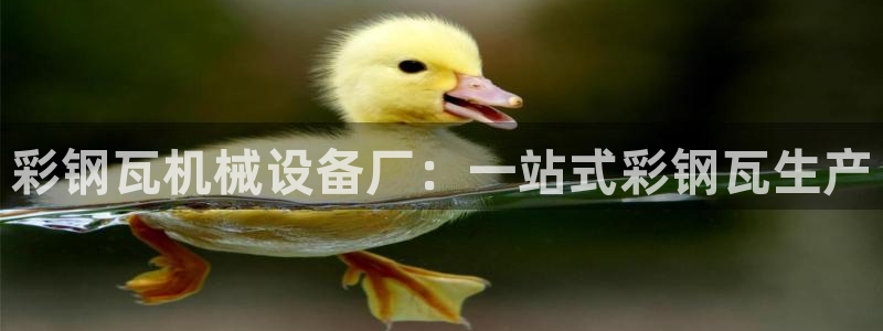 金年会pg官网