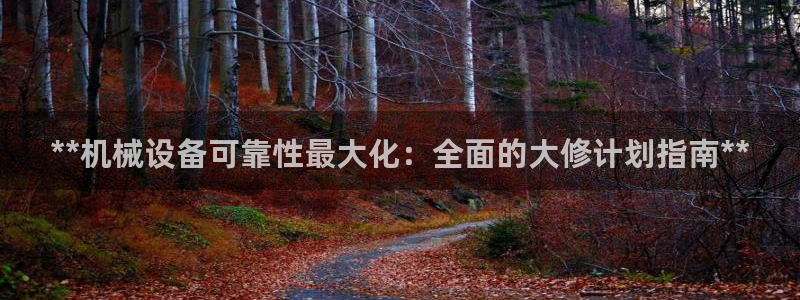 金年会app官网登录：**机械设备可靠性最大化：全面的大修计划指南**