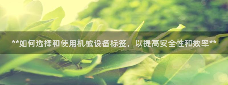 金年会官方在线入口网站2023：**如何选择和使用机械设备标签，以提高安全性和效率**