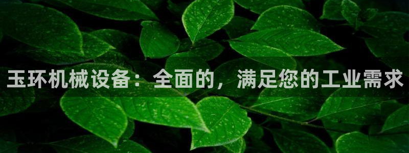 金年会pM捕鱼：玉环机械设备：全面的，满足您的工业需求