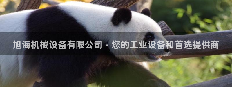 金年会体育平台新地址：旭海机械设备有限公司 - 您的工业设备和首选提供商