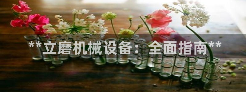 金年会sports： **立磨机械设备：全面指南**