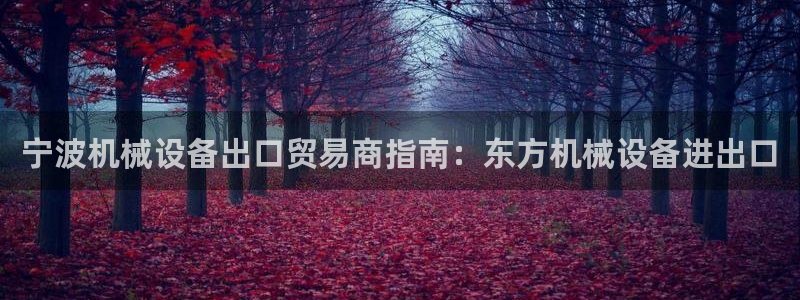 金年会 金字招牌诚信至上网址：宁波机械设备出口贸易商指南：东方机械设备进出口