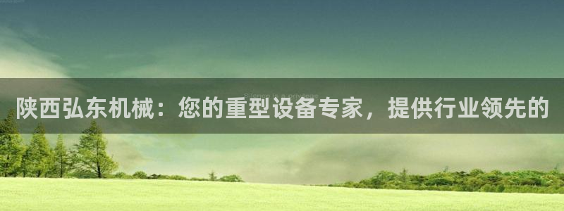 金年会sports：陕西弘东机械：您的重型设备专家，提供行业领先的