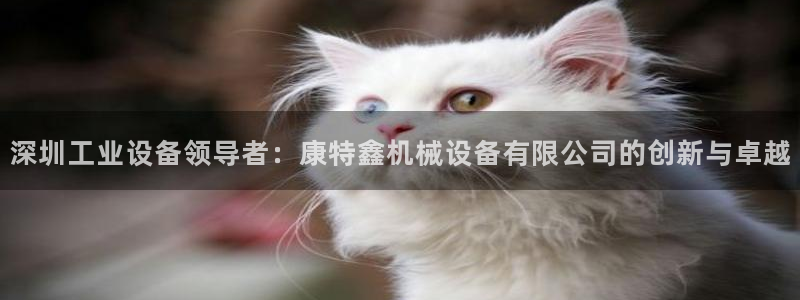 金年会官方平台官网：深圳工业设备领导者：康特鑫机械设备有限公司的创新与卓越
