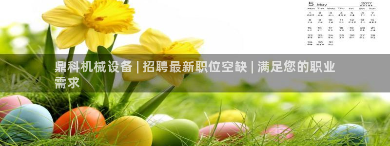 金年会官方网站入口登录手机版下载安装：鼎科机械设备 | 招聘最新职位空缺 | 满足您的职业
需求