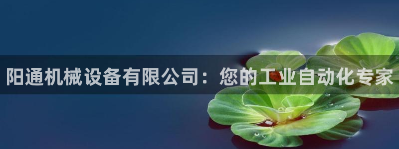 金年会pp电子：阳通机械设备有限公司：您的工业自动化专家