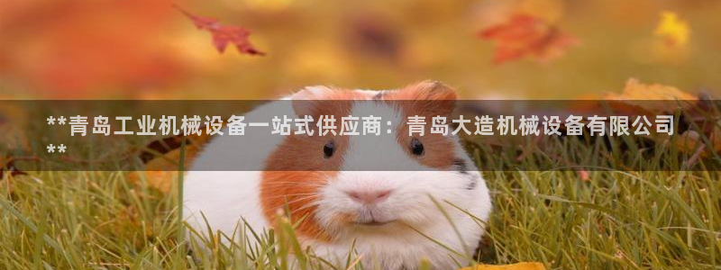 金年会体育平台合法吗：**青岛工业机械设备一站式供应商：青岛大造机械设备有限公司
**