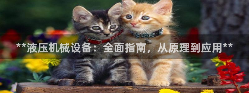 金年会体育黑吗：**液压机械设备：全面指南，从原理到应用**