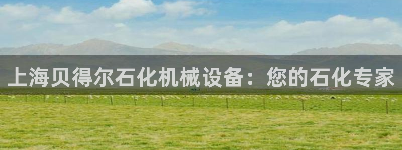 jinnianhui金年会195：上海贝得尔石化机械设备：您的石化专家