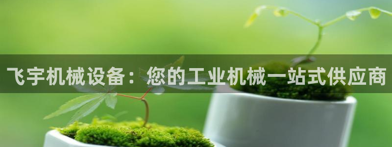 金年会官方网站入口登录手机版下载：飞宇机械设备：您的工业机械一站式供应商