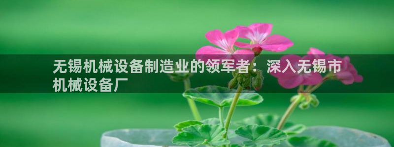 金年会网址导航在线播放：无锡机械设备制造业的领军者：深入无锡市
机械设备厂