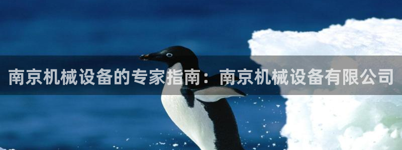 金年会 金字招牌诚信至上在线：南京机械设备的专家指南：南京机械设备有限公司