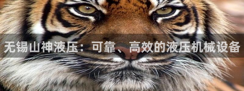 金年会金字招牌登录入口评测：无锡山神液压：可靠、高效的液压机械设备