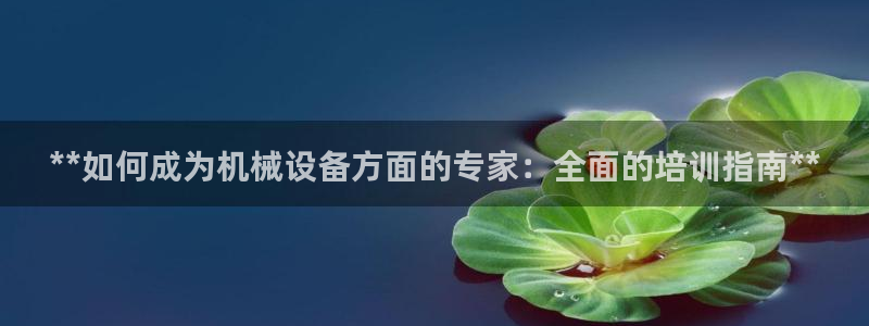 金年会体育平台是真的吗知乎：**如何成为机械设备方面的专家：全面的培训指南**