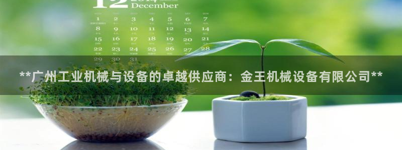 金年会官方app下载安卓：**广州工业机械与设备的卓越供应商：金王机械设备有限公司**