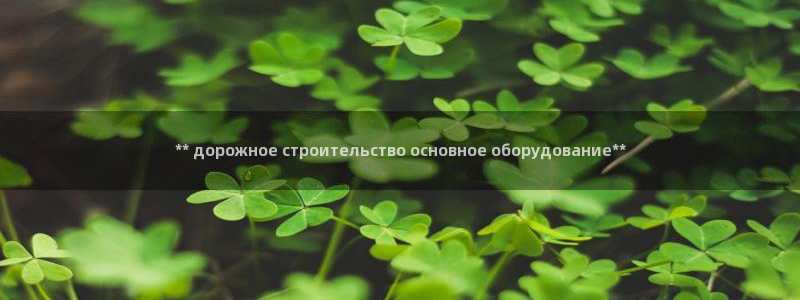 金年会官方下载app：** дорожное строительство основное оборудова