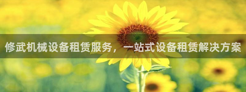 金年会体育电脑客户端登录：修武机械设备租赁服务，一站式设备租赁解决方案
