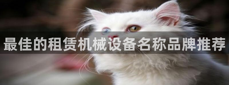 金年会体育网页版：最佳的租赁机械设备名称品牌推荐