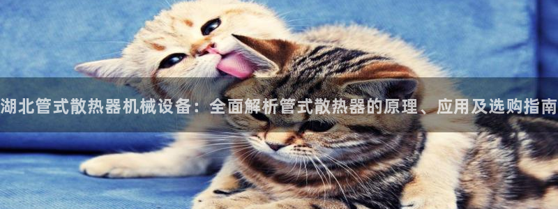 今年会金年会：湖北管式散热器机械设备：全面解析管式散热器的原理、应用及选购指南