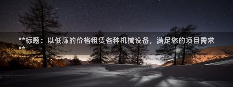 金年会金字招牌：**标题：以低廉的价格租赁各种机械设备，满足您的项目需求
**