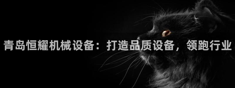 金年会官方网址是什么：青岛恒耀机械设备：打造品质设备，领跑行业