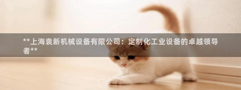 金年会官方登录入口：**上海袁新机械设备有限公司：定制化工业设备的卓越领导
者**