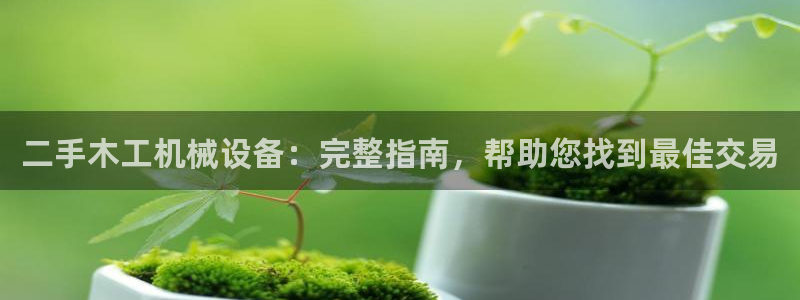 金年会app登录官网入口：二手木工机械设备：完整指南，帮助您找到最佳交易