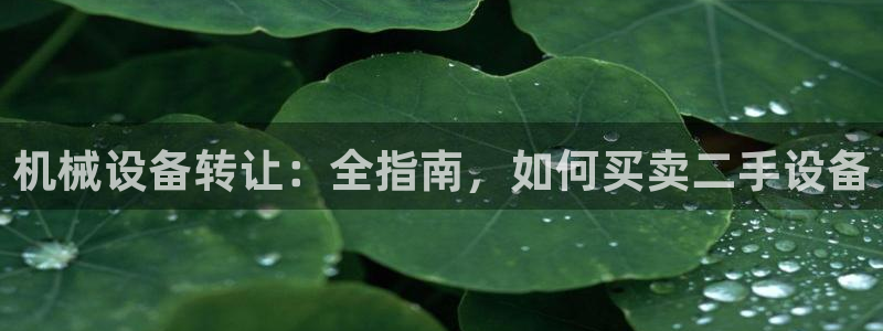 金年会官方网站入口登录手机版：机械设备转让：全指南，如何买卖二手设备