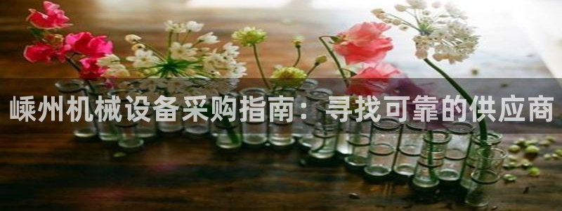 金年会官方在线入口网址是什么：嵊州机械设备采购指南：寻找可靠的供应商