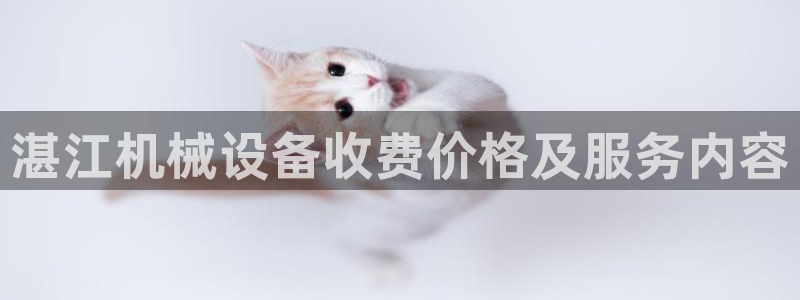 金年会是正规平台吗：湛江机械设备收费价格及服务内容