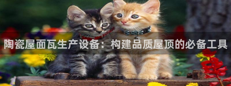 金年会体育苹果下载app：陶瓷屋面瓦生产设备：构建品质屋顶的必备工具