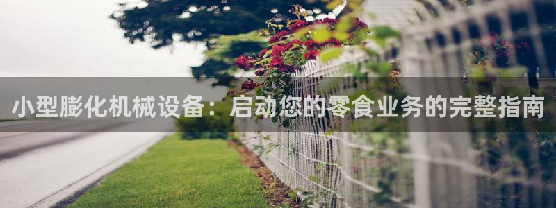 金年会 金字招牌诚信至上Vip：小型膨化机械设备：启动您的零食业务的完整指南