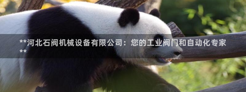 金年会金字招牌至上技术有限公司