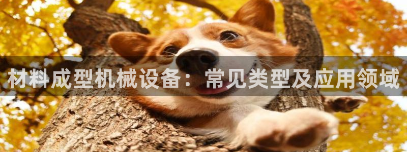金年会下载官网app：材料成型机械设备：常见类型及应用领域