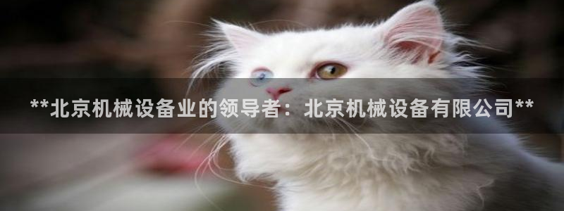 金年会官方入口登录：**北京机械设备业的领导者：北京机械设备有限公司**