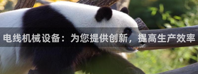 金年会官方登录入口手机版下载：电线机械设备：为您提供创新，提高生产效率