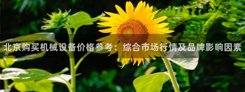 金年会vip网页版在线登录入口下载：北京购买机械设备价格参考：综合市场行情及品牌影响因素