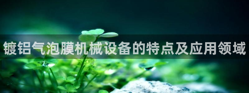 金年会金字招牌下载：镀铝气泡膜机械设备的特点及应用领域
