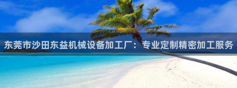 金年会平台官网登录：东莞市沙田东益机械设备加工厂：专业定制精密加工服务