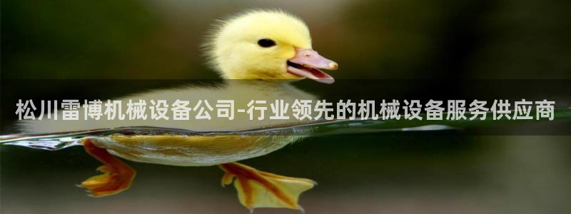 金年会官方在线登录网址是多少：松川雷博机械设备公司-行业领先的机械设备服务供应商